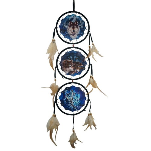 Wolf dream catcher canvas - dream,
